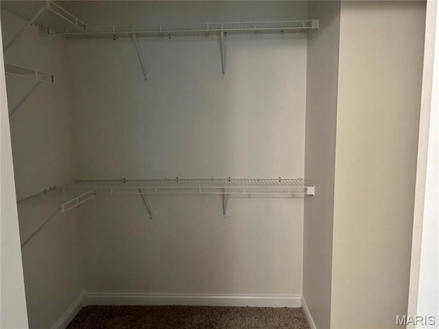 40 Pecan Tree Ln, Farmington, MO 63640 - walk in closet featuring carpet floors