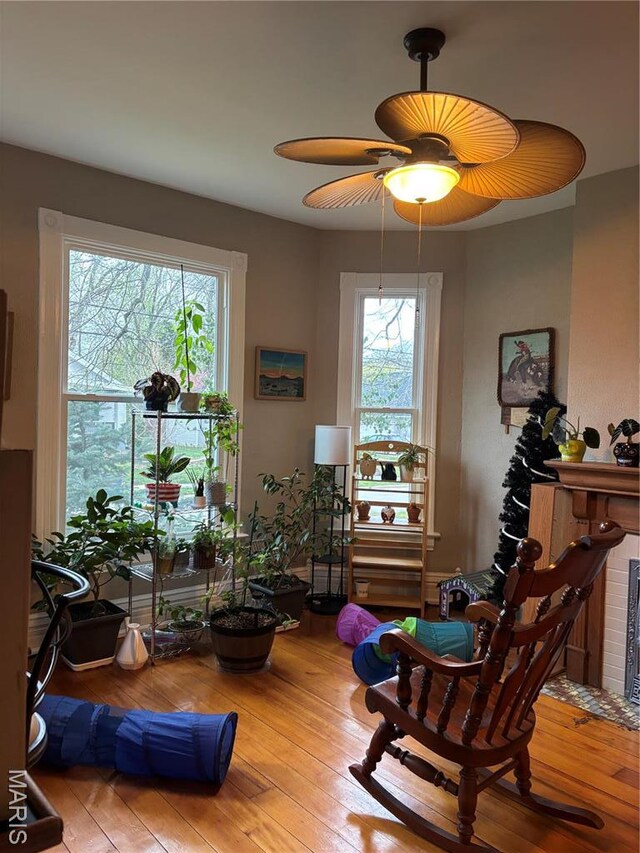 911 Grand Ave, Edwardsville, IL 62025 - living area with hardwood / wood-style floors and ceiling fan