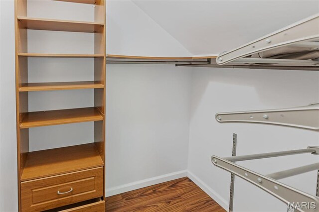 911 Grand Ave, Edwardsville, IL 62025 - walk in closet with dark wood-style floors and lofted ceiling