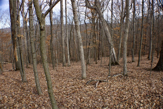 1 Misty Rdg, Eureka, MO 63025
