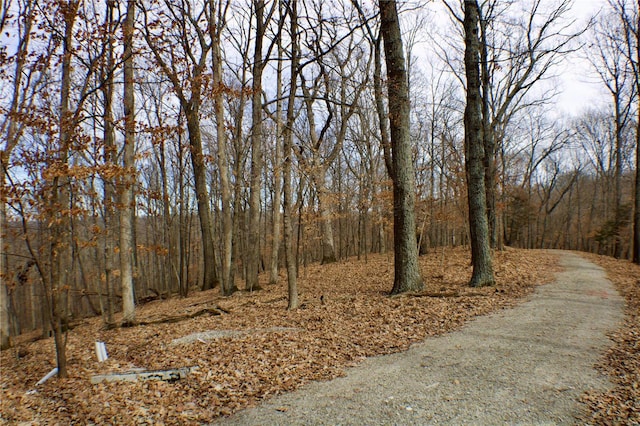 1 Misty Rdg, Eureka, MO 63025