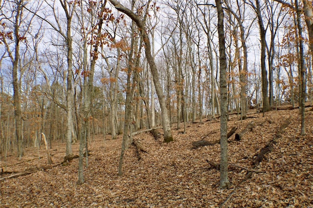 1 Misty Rdg, Eureka, MO 63025