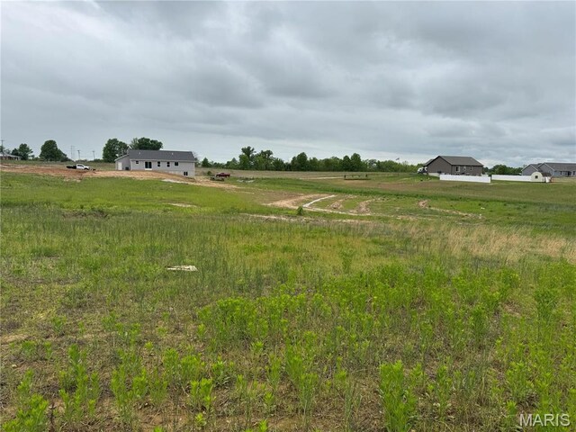 8 Alpine Dr, Troy, MO 63379 - photo 5