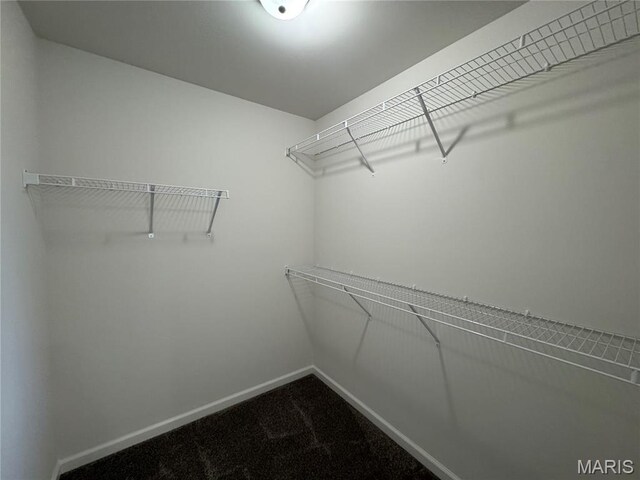 8 Alpine Dr, Troy, MO 63379 - photo 25