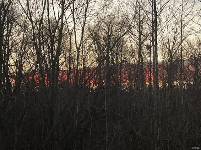 948 Half Moon, Caseyville, IL 62232 - view of nature