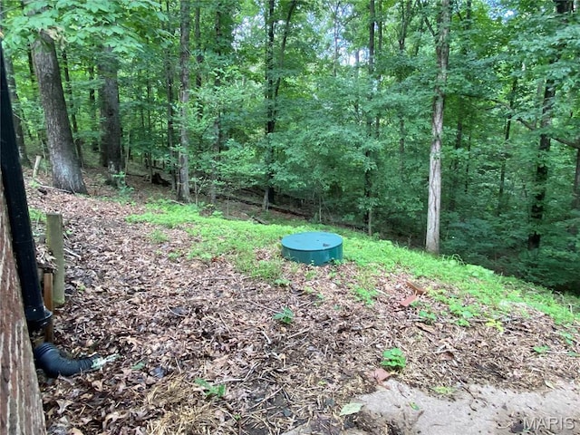 207 Navaho Dr, Cape Girardeau, MO 63701 - view of yard with a forest view