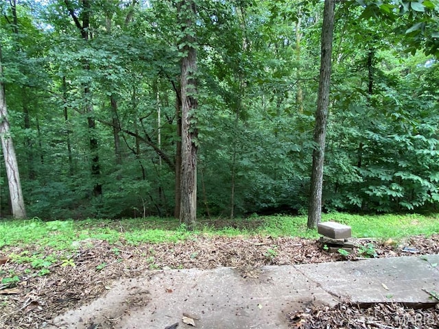 207 Navaho Dr, Cape Girardeau, MO 63701 - view of wooded area