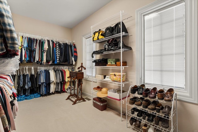 230 W Waters Edge Dr, Belleville, IL 62221 - walk in closet featuring carpet floors