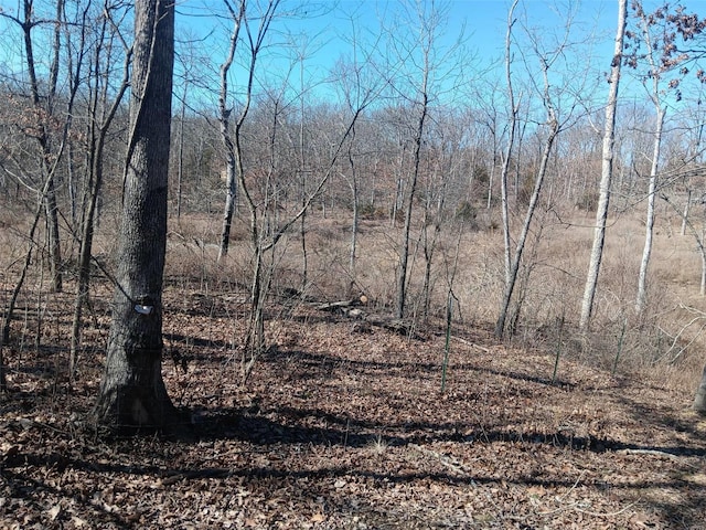 view of undeveloped land