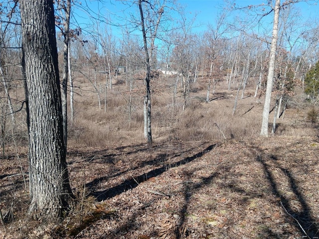 view of local wilderness