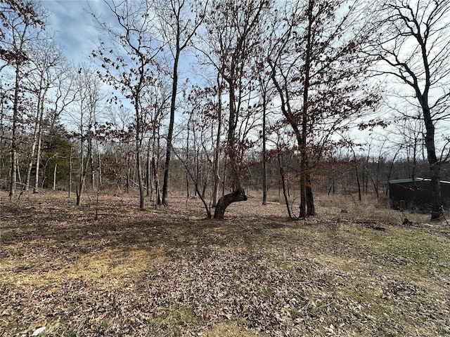 view of local wilderness