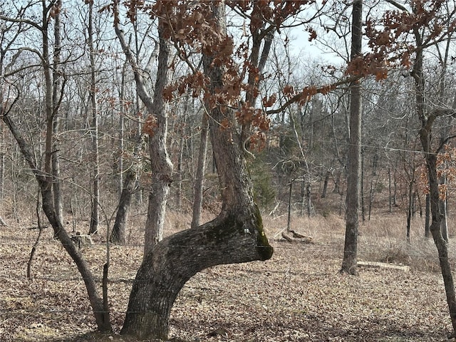 view of wooded area