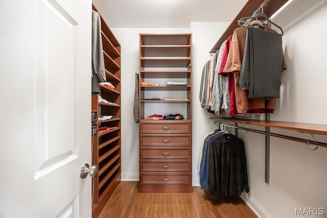 spacious closet featuring light wood-type flooring