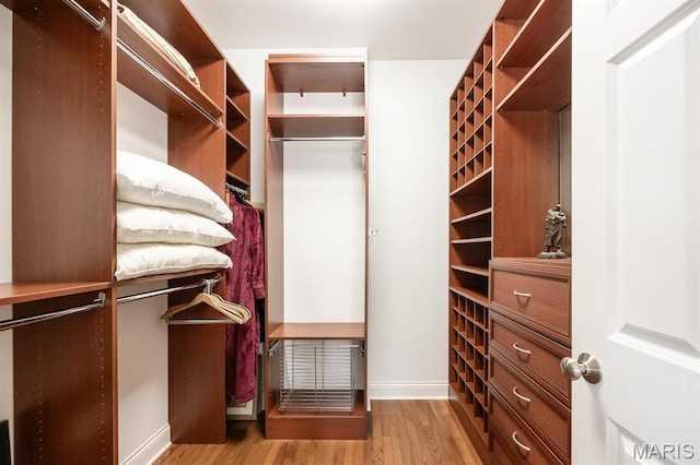 spacious closet featuring wood finished floors