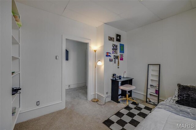 401 S Main, Fredericktown, MO 63645 - view of carpeted bedroom