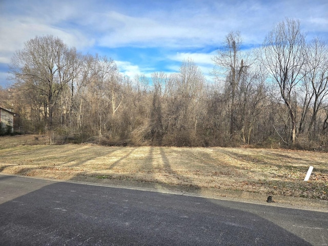 0 E Kenton Rd, Dexter, MO 63841