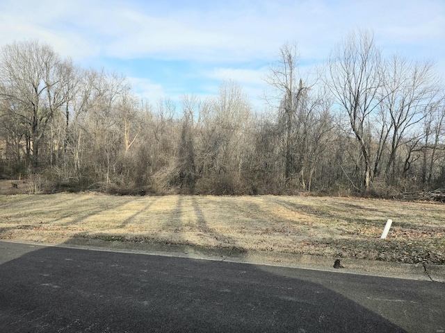 0 E Kenton Rd, Dexter, MO 63841