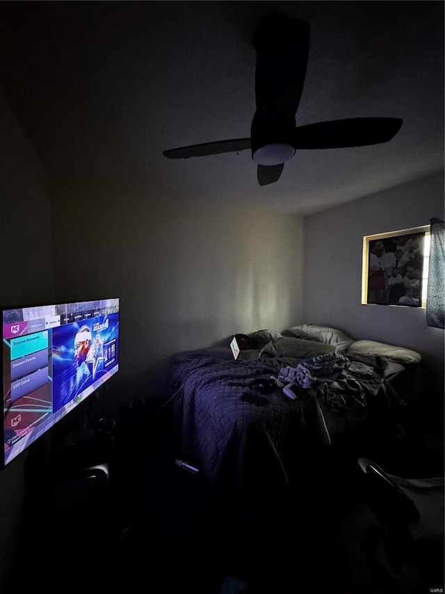 10533 Earl Dr, Saint Louis, MO 63136 - bedroom featuring ceiling fan