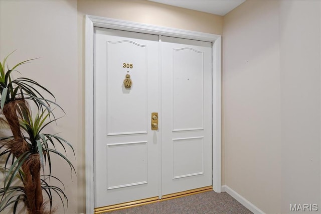 561 Sarah Ln Unit 305, Saint Louis, MO 63141 - view of exterior entry