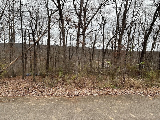 6366 Sioux Dr, French Village, MO 63036 - photo 5