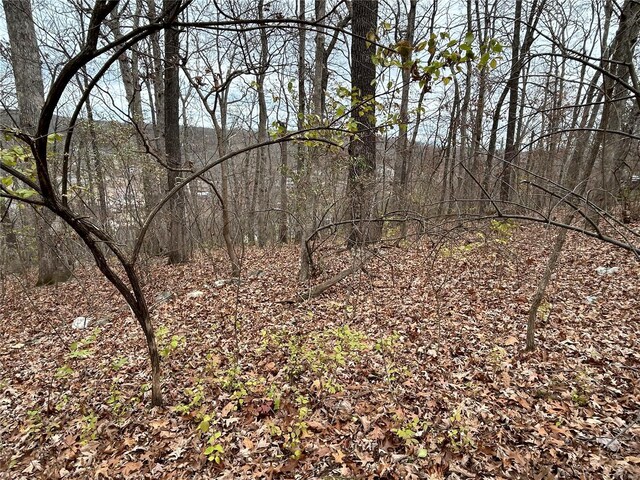 6366 Sioux Dr, French Village, MO 63036 - photo 10