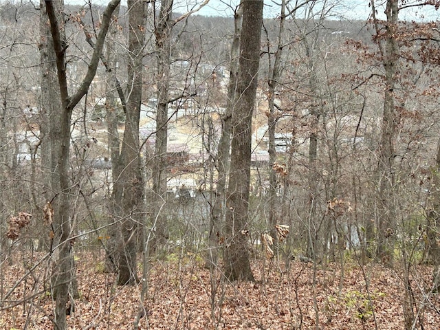 6366 Sioux Dr, French Village, MO 63036 - photo 15