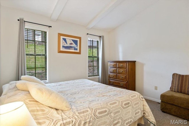 bedroom with carpet flooring, multiple windows, and baseboards