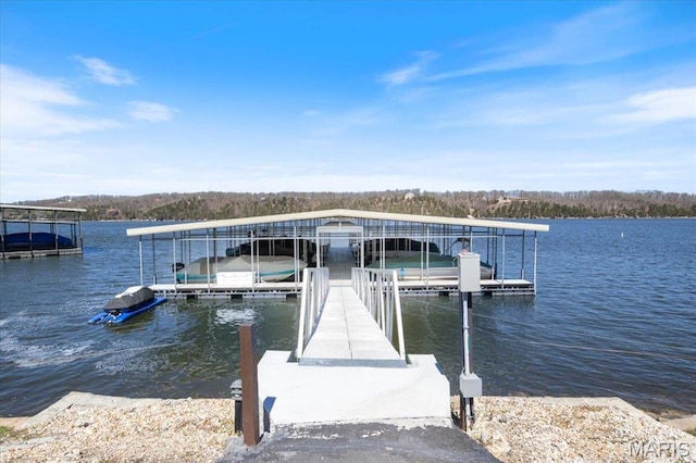 dock with a water view and boat lift