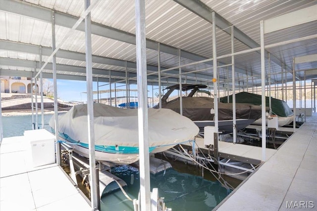 dock area featuring boat lift