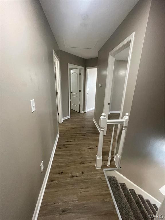3078 Willow Creek Estates Dr, Florissant, MO 63031 - corridor with dark wood-style flooring and baseboards