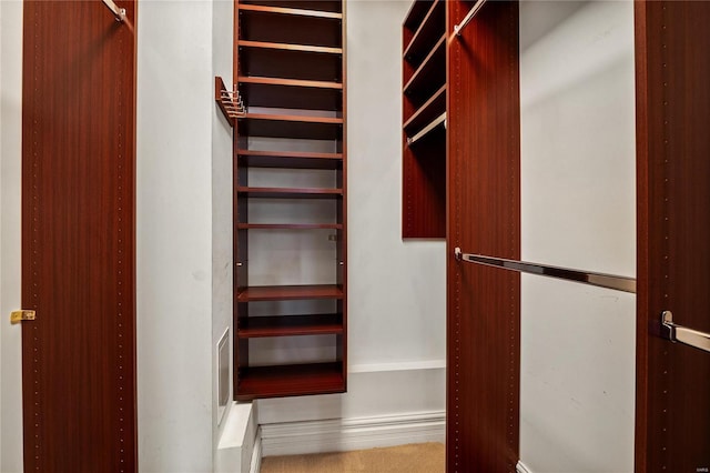 view of walk in closet