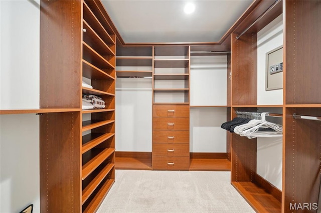 232 N Kingshighway Blvd Unit 1407, Saint Louis, MO 63108 - photo 14