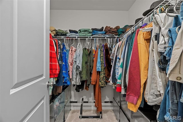 757 Fox Creek Dr, Fenton, MO 63026 - view of walk in closet