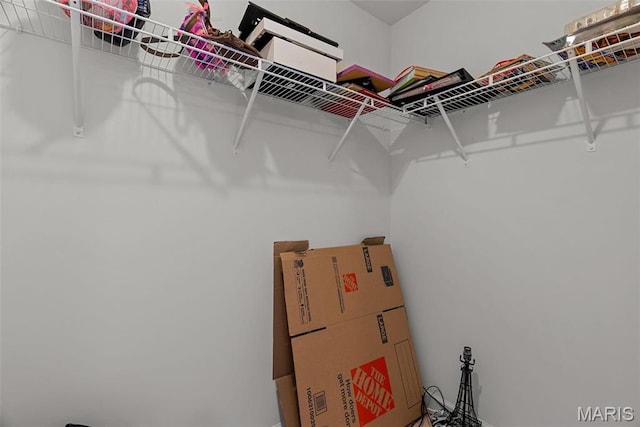 757 Fox Creek Dr, Fenton, MO 63026 - view of spacious closet
