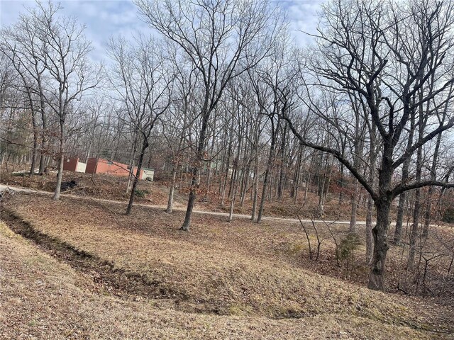 130 Lake Dr, Middlebrook, MO 63656 - photo 7