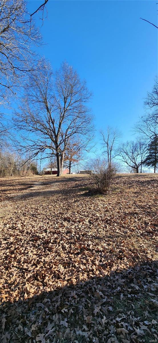 411 11th St, Crocker, MO 65452 - view of yard