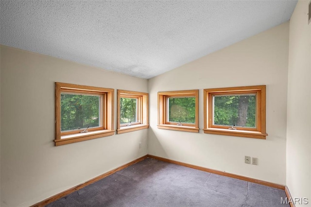 946 Newport Ave, Webster Groves, MO 63119 - photo 39