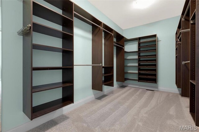 206 Willow Park Ct, Wentzville, MO 63385 - spacious closet featuring carpet