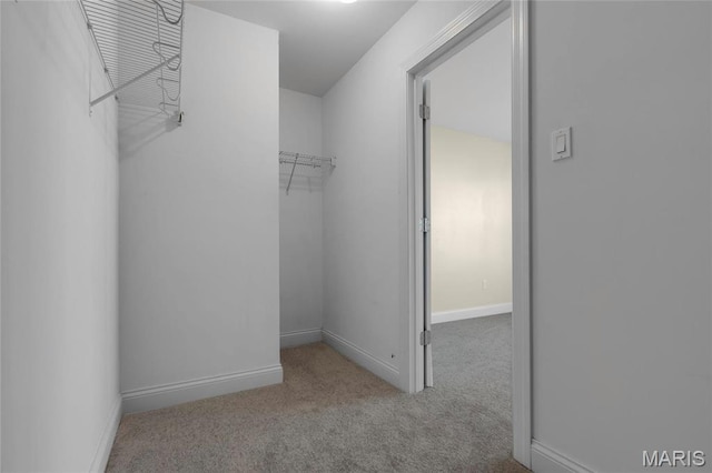 206 Willow Park Ct, Wentzville, MO 63385 - spacious closet with carpet
