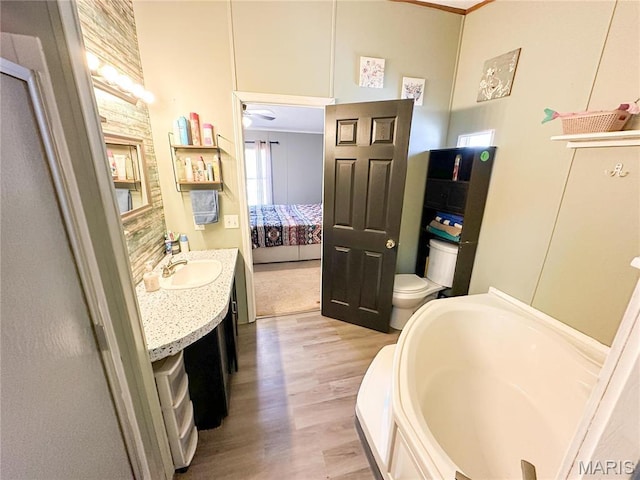 405 County Road 5015, Salem, MO 65560 - ensuite bathroom featuring wood finished floors, vanity, toilet, and a bath