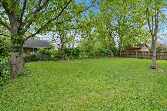 1048 Martha Ln, Saint Louis, MO 63119 - view of yard