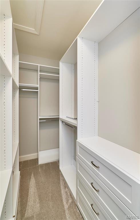 513 Upper Ridgepointe Ct, Lake St Louis, MO 63367 - spacious closet with carpet flooring