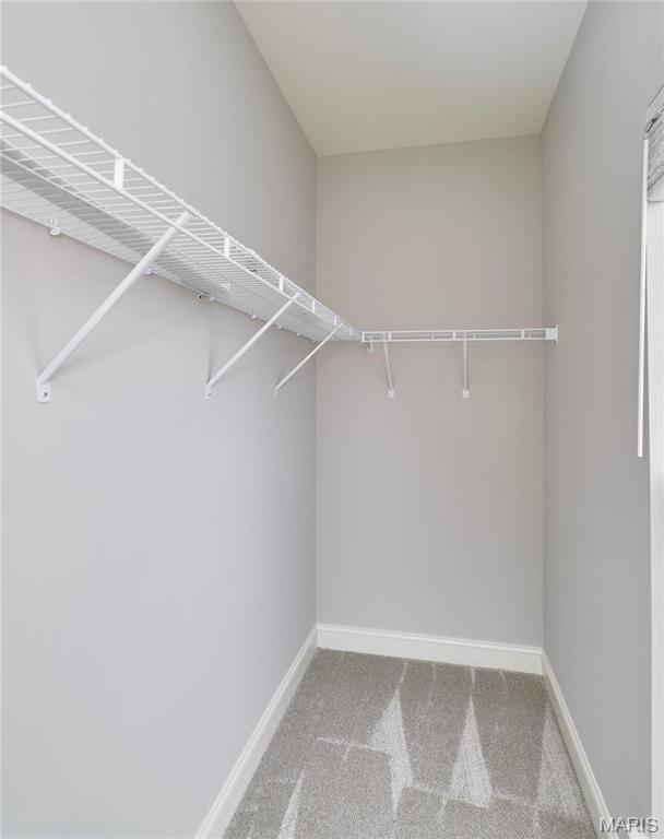 513 Upper Ridgepointe Ct, Lake St Louis, MO 63367 - walk in closet with carpet flooring