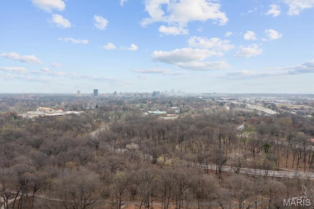 725 S Skinker Blvd Unit 7S, Saint Louis, MO 63105 - photo 34