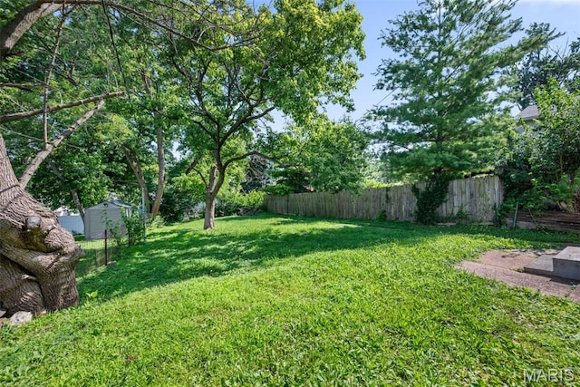 6541 SW Ave, Saint Louis, MO 63139 - view of yard with a shed