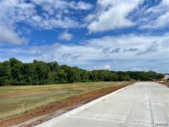 326 Wilmer Meadow Dr, Wentzville, MO 63385