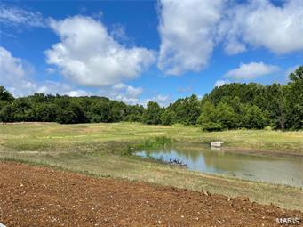326 Wilmer Meadow Dr, Wentzville, MO 63385