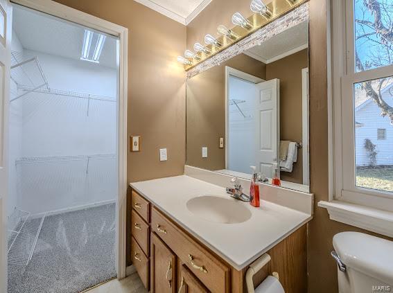 bathroom featuring ornamental molding, healthy amount of natural light, vanity, and toilet