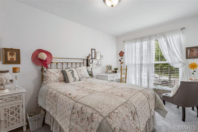5374 Trailhead Ct, Eureka, MO 63025 - bedroom featuring carpet floors
