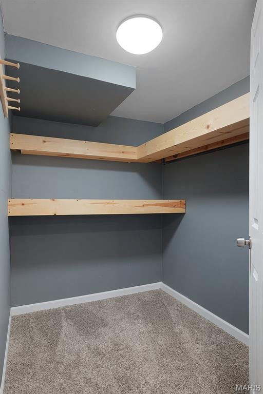 438 Rockview Dr, Saint Louis, MO 63129 - spacious closet featuring carpet
